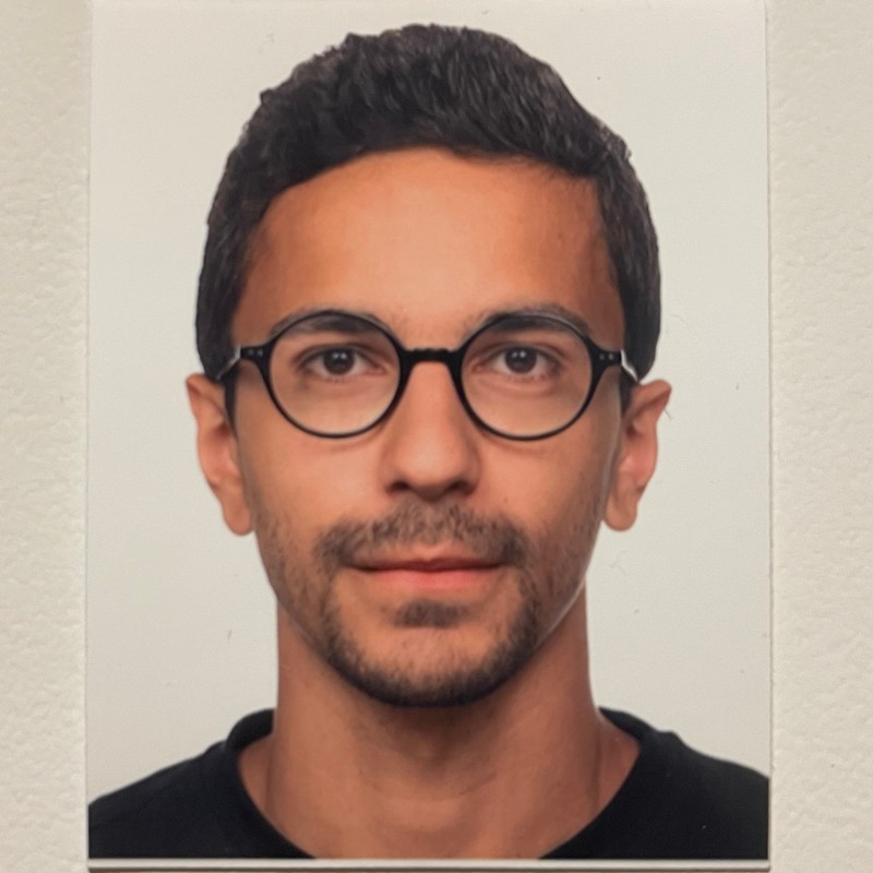 Hassan Abdelhamid